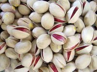 FANDOGHI-PISTACHIO